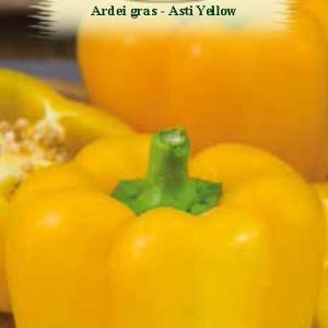 Ardei gras -  Asti Yellow