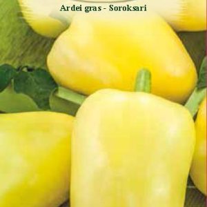 Ardei gras -  Soroksari