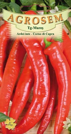Ardei iute – Corno di Capra