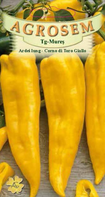 Ardei lung – Corno Di Toro Giallo