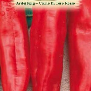 Ardei lung - Corno Di Toro Rosso