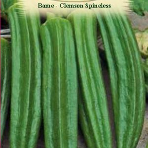 Bame - Clemson Spineless