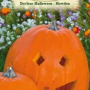 Dovleac Halloween-Howden