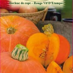 Dovleac de copt - Rouge Vif D'Etampes