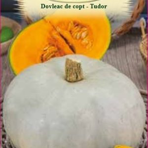 Dovleac de copt - Tudor