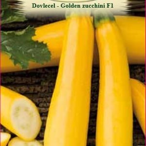 Dovlecel - Golden Zucchini F1