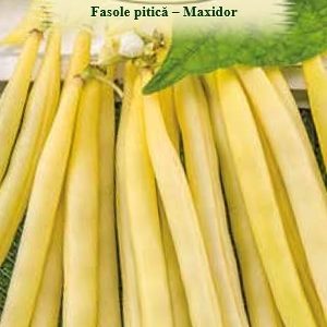 Fasole pitică -Maxidor 50gr