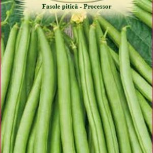 Fasole pitică - Processor 50gr