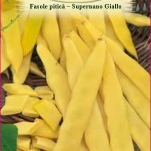 Fasole pitică - Supernano Giallo