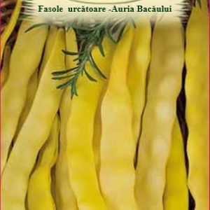 Fasole urcătoare - Auria Bacăului 50gr