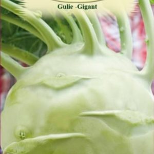 Gulie - Gigant