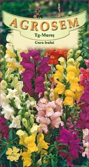 Gura leului