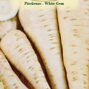 Păstârnac -White Gem