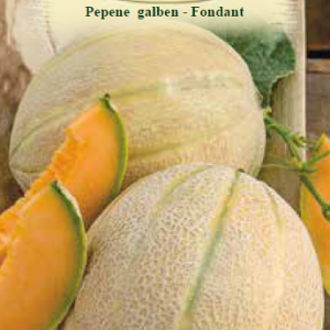 Pepene galben-Fondant