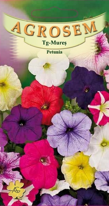 Petunia mix