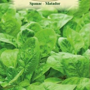 Spanac - Matador