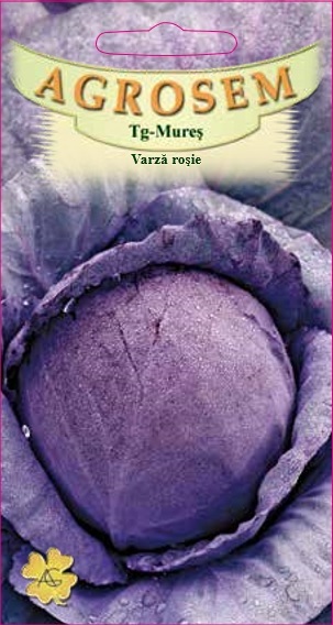 Varză roşie – tete noire